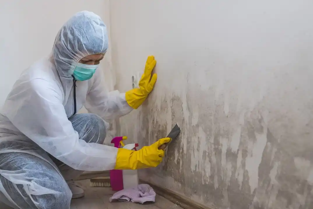 water damage restoration service Georgeview Estates